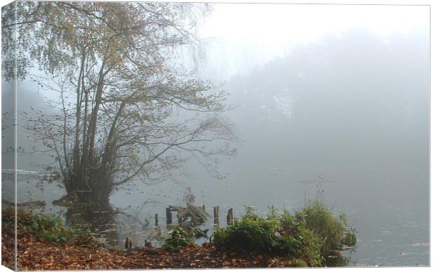 misty morning lake in Shropshire Canvas Print by Carol Young