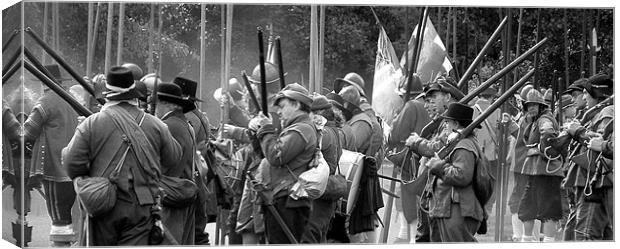 Pikes and muskets Canvas Print by Carol Young