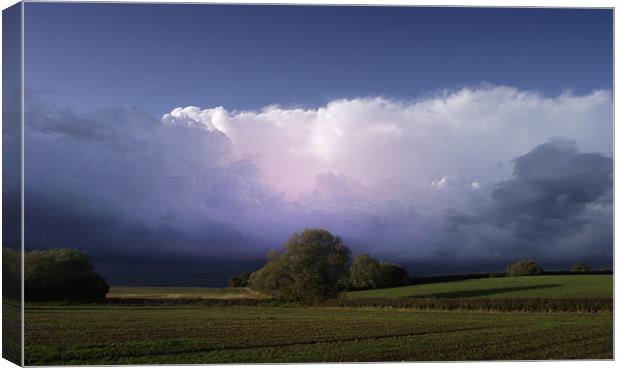 Heavy Sky Canvas Print by Carol Young