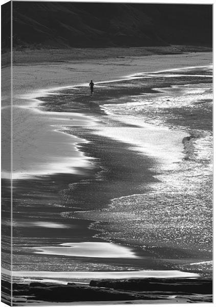 Beach Runner Canvas Print by Brian Dingle