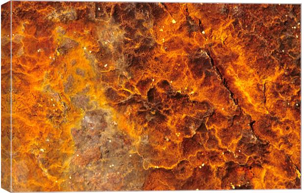 Rust in close up Canvas Print by Celia Mannings
