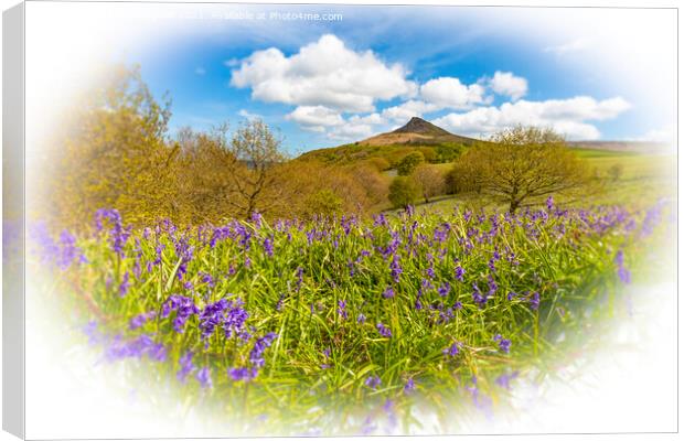 Bluebell Topping Canvas Print by Cass Castagnoli