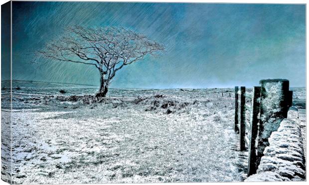 Ice Blue Christmas - North York Moors Canvas Print by Cass Castagnoli