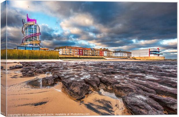 Petrified Forest - Redcar Canvas Print by Cass Castagnoli