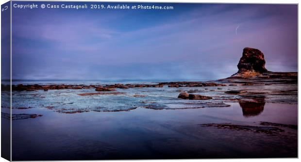 Alien Landscape Canvas Print by Cass Castagnoli