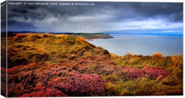 Heavenly view from the Devil's cliff Canvas Print by Cass Castagnoli