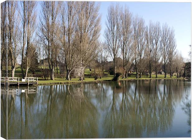 Poplar trees by the Thames at Oxford Canvas Print by mike lester