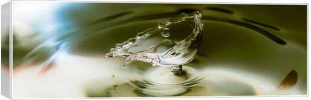 Fluid Art droplet splash Canvas Print by Terry Pearce