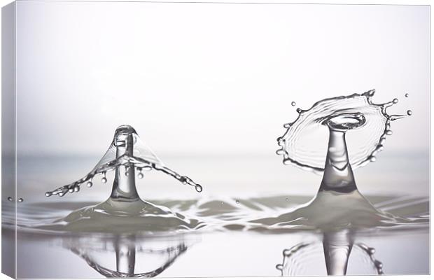 fluid Art droplet splash Canvas Print by Terry Pearce