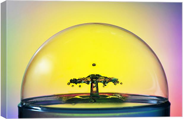 Inside the bubble Canvas Print by Terry Pearce