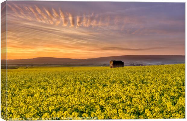 Fields Of Gold Sunset Canvas Print by Wight Landscapes