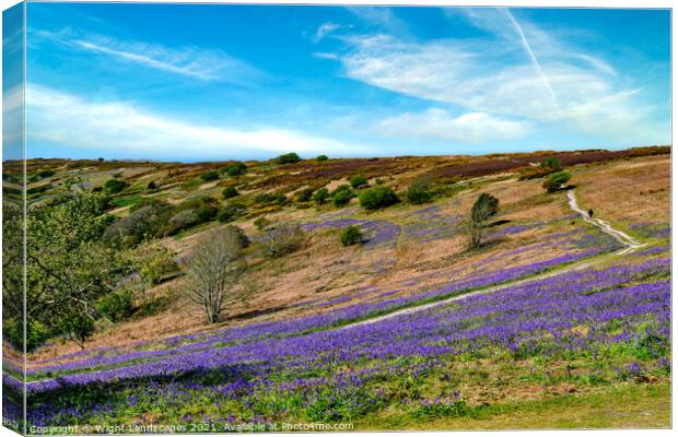 Bluebell Path Isle Of Wight Canvas Print by Wight Landscapes