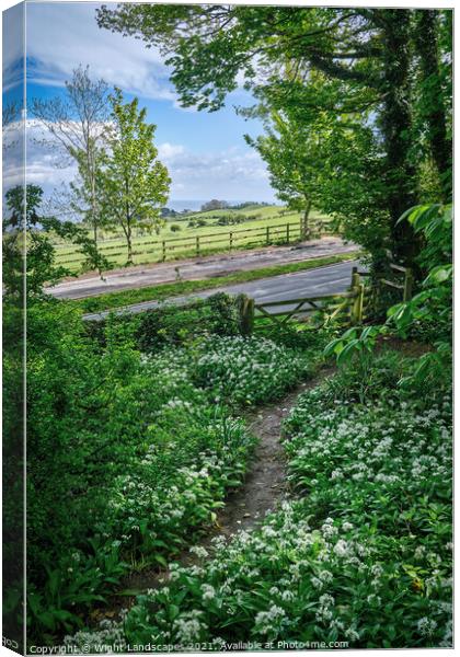 Cowlease Hill Shanklin Canvas Print by Wight Landscapes