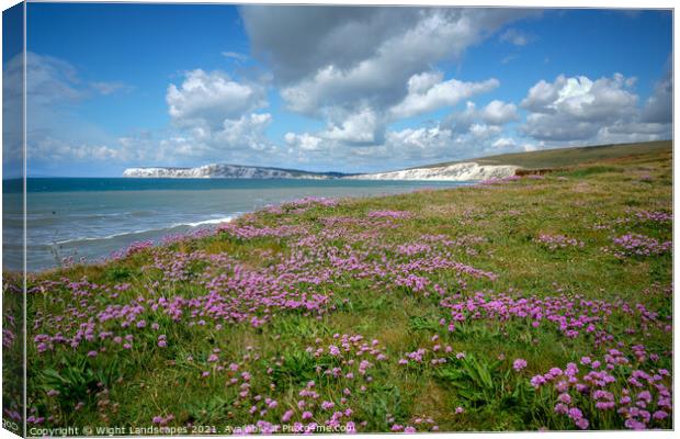 Compton Bay Sea Thrift Canvas Print by Wight Landscapes
