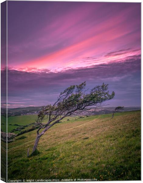The Tree Canvas Print by Wight Landscapes