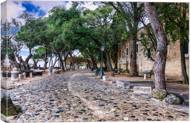 Castelo de S. Jorge Canvas Print by Wight Landscapes