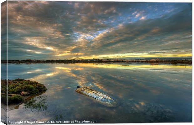 Capsized Canvas Print by Wight Landscapes