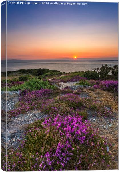 Purple Heather Sunset Canvas Print by Wight Landscapes