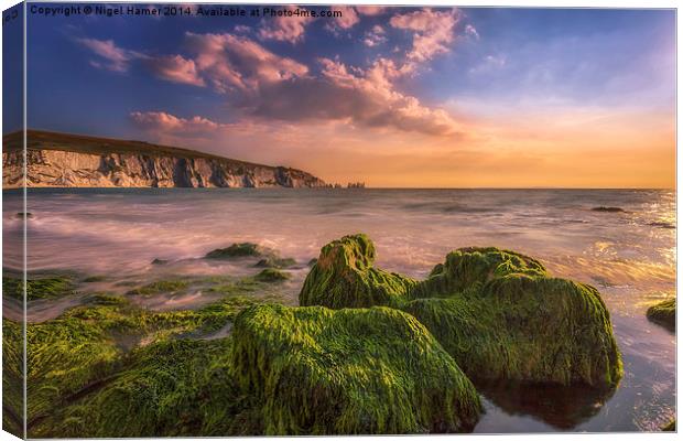 Alum Bay and The Needles #2 Canvas Print by Wight Landscapes