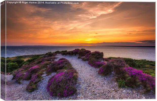  Sunset Path Canvas Print by Wight Landscapes
