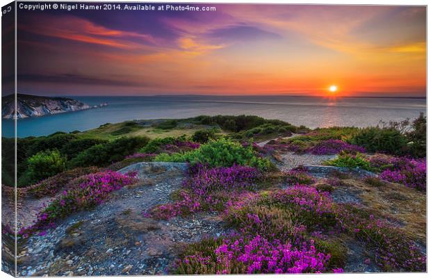 Heather Sunset Canvas Print by Wight Landscapes