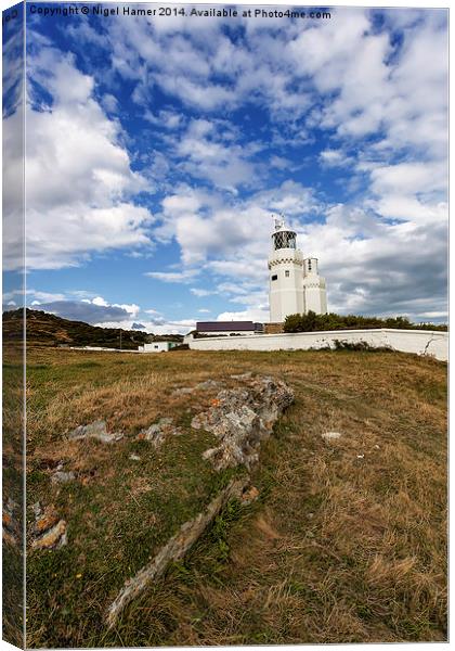 St Catherines Lighthouse Canvas Print by Wight Landscapes