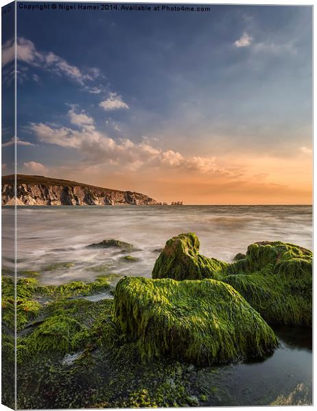 The Needles and Alum Bay Canvas Print by Wight Landscapes