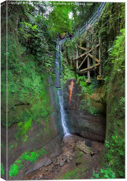 Shanklin Chine Canvas Print by Wight Landscapes