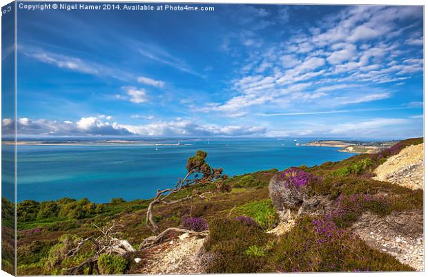 Headon Warren and Hurst Narrows Canvas Print by Wight Landscapes