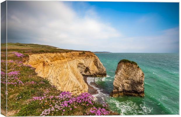 Freshwater Sea Thrift Canvas Print by Wight Landscapes