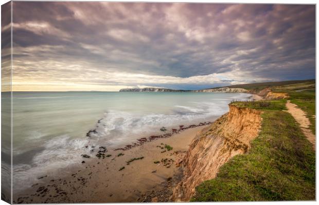 Coastal Path Canvas Print by Wight Landscapes