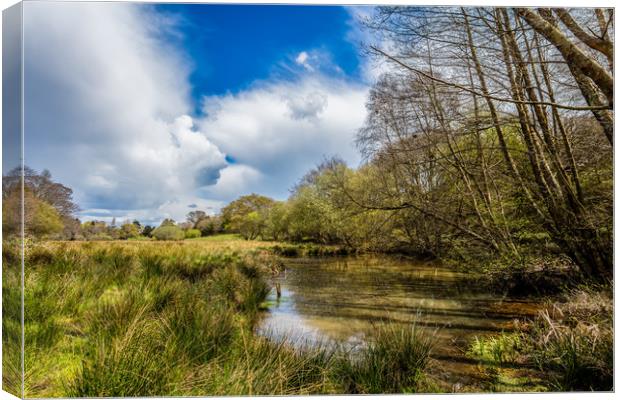 Water Meadow Canvas Print by Wight Landscapes