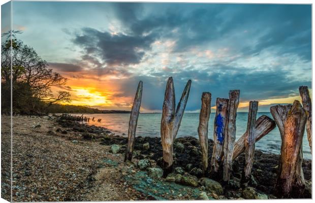 Woodside Bay Isle Of Wight Sunset Canvas Print by Wight Landscapes