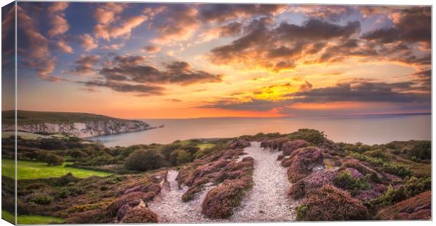 The Needles Sunset Panorama Canvas Print by Wight Landscapes