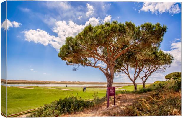 Algarve Golf Canvas Print by Wight Landscapes