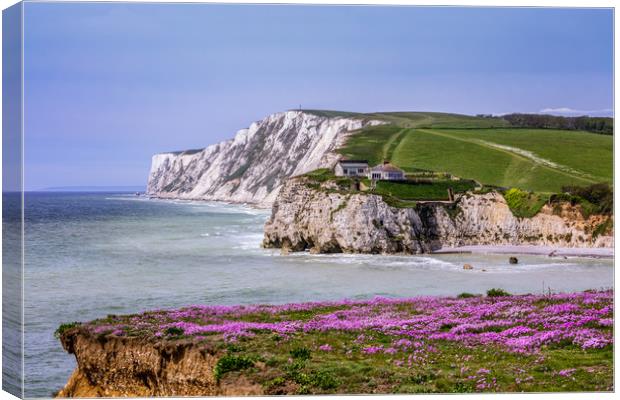 Fort Redoubt  Canvas Print by Wight Landscapes