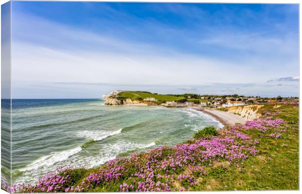 Freshwater Bay Armeria Maritima Canvas Print by Wight Landscapes