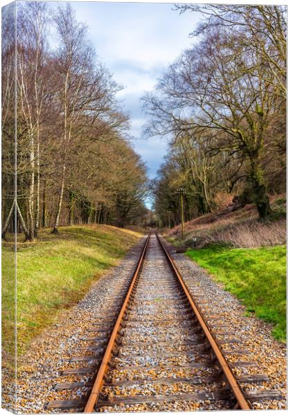 Isle Of Wight Steam Railway Canvas Print by Wight Landscapes