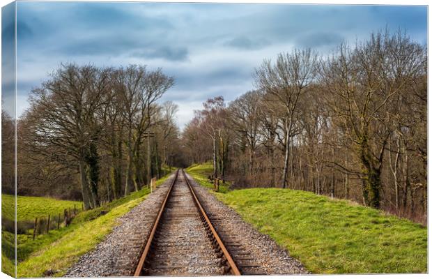 Isle Of Wight Steam Railway Track Canvas Print by Wight Landscapes