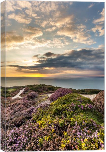 Headon Hill Sunset Canvas Print by Wight Landscapes