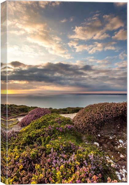 Sunset On Headon Hill Canvas Print by Wight Landscapes