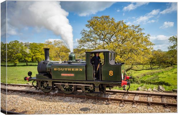 A1X TERRIER CLASS 0-6-0T NO.W8 FRESHWATER Canvas Print by Wight Landscapes