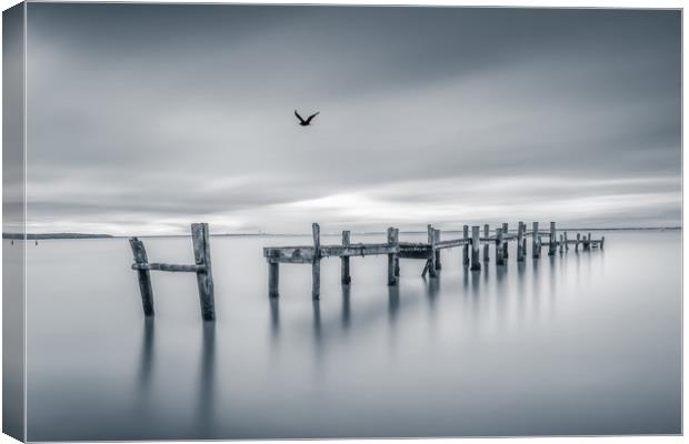 The Jetty BW Canvas Print by Wight Landscapes