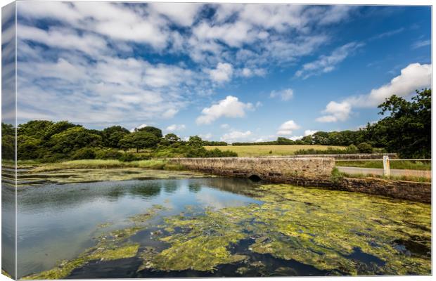 The Causeway Newtown Isle Of Wight Canvas Print by Wight Landscapes