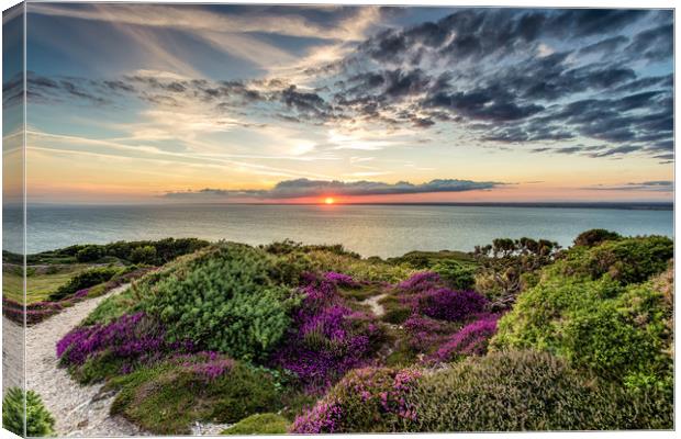 Headon Hill Sunset #4 Canvas Print by Wight Landscapes