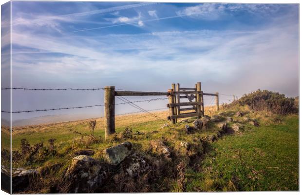 St Catherines Hill Canvas Print by Wight Landscapes