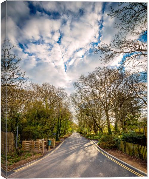 The End Of The road Canvas Print by Wight Landscapes