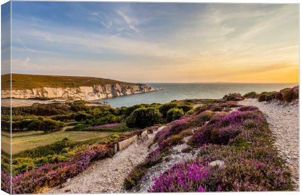 The Needles At Sunset Isle Of Wight Canvas Print by Wight Landscapes
