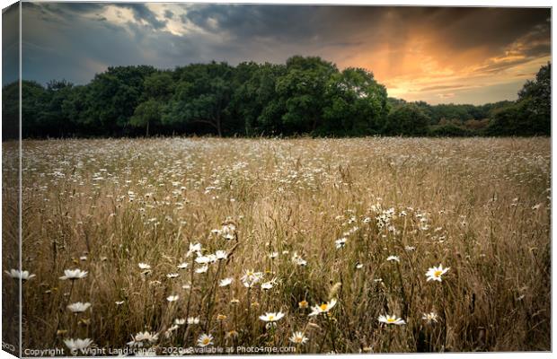 Wild Flower Meadow Canvas Print by Wight Landscapes