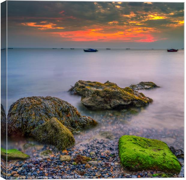 Seaview Beach Sunrise Canvas Print by Wight Landscapes